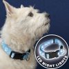 LED Dog Collar