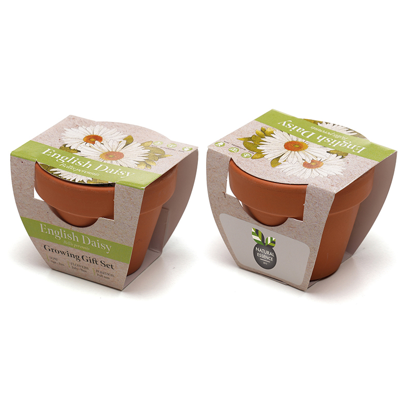 Standard Growing Gift with Mini Terracotta Pot - Image 9