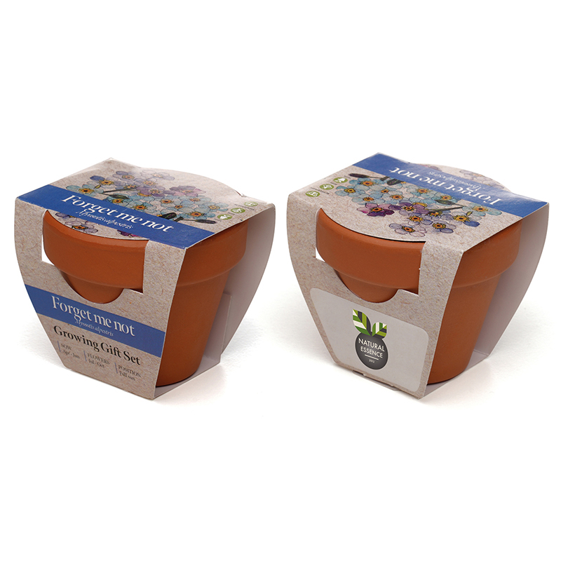 Standard Growing Gift with Mini Terracotta Pot - Image 8
