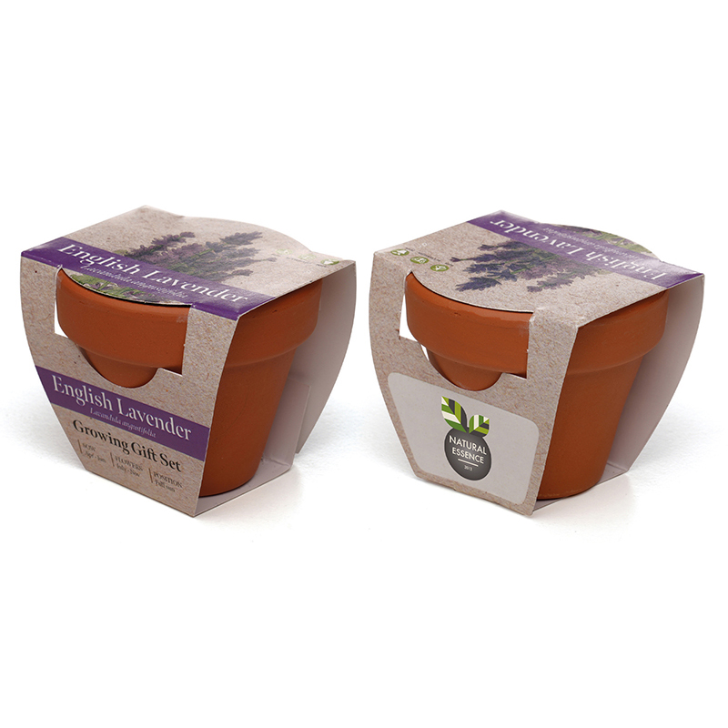 Standard Growing Gift with Mini Terracotta Pot - Image 7