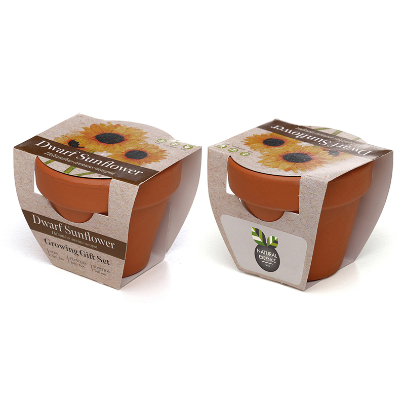 Standard Growing Gift with Mini Terracotta Pot - Image 5