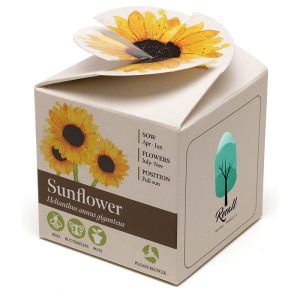 Mini Box Seed Kit