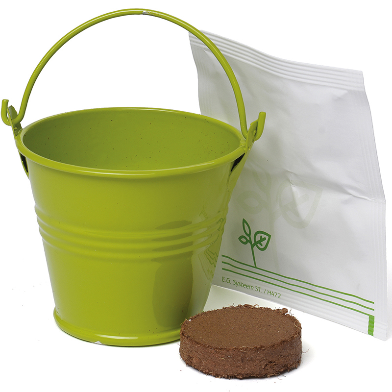 Coloured Mini Bucket Grow Kit - Image 5