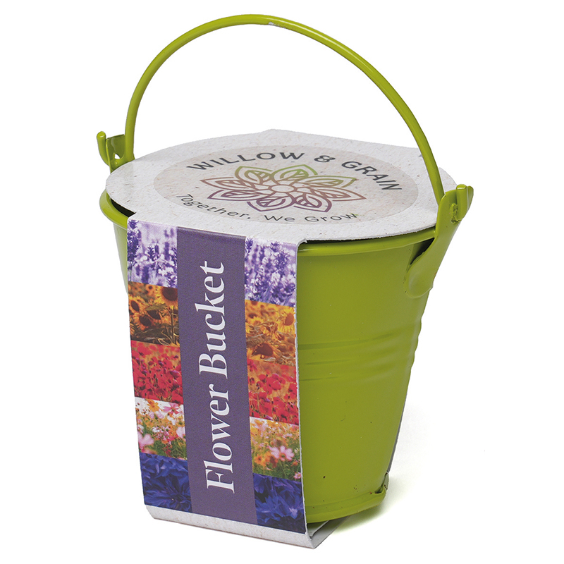 Coloured Mini Bucket Grow Kit - Image 3
