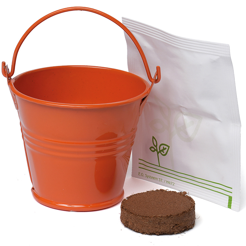 Coloured Mini Bucket Grow Kit - Image 10