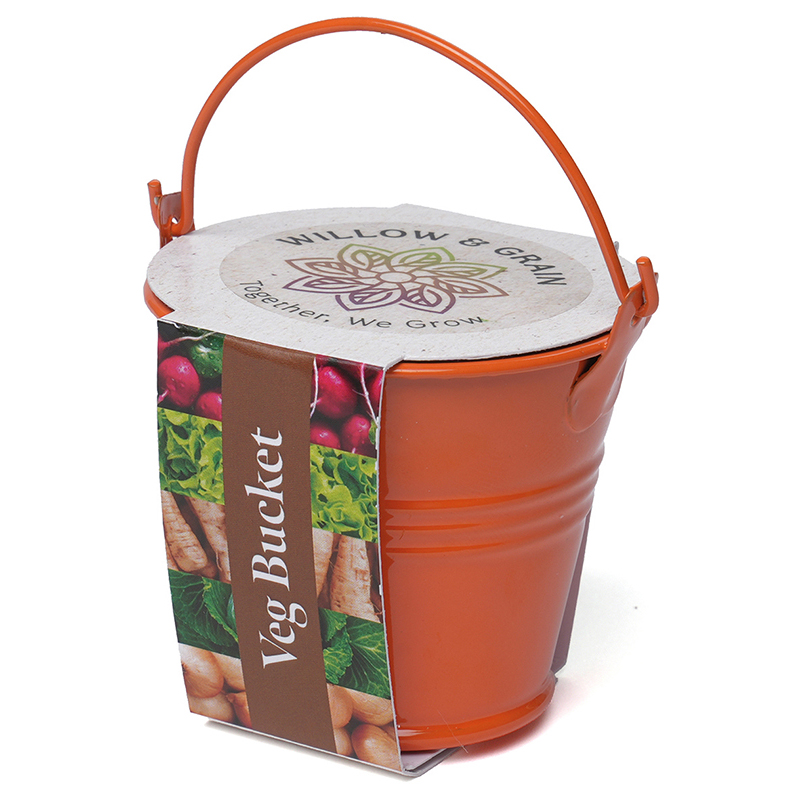 Coloured Mini Bucket Grow Kit - Image 4