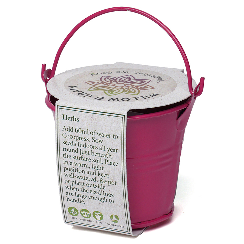 Coloured Mini Bucket Grow Kit - Image 9
