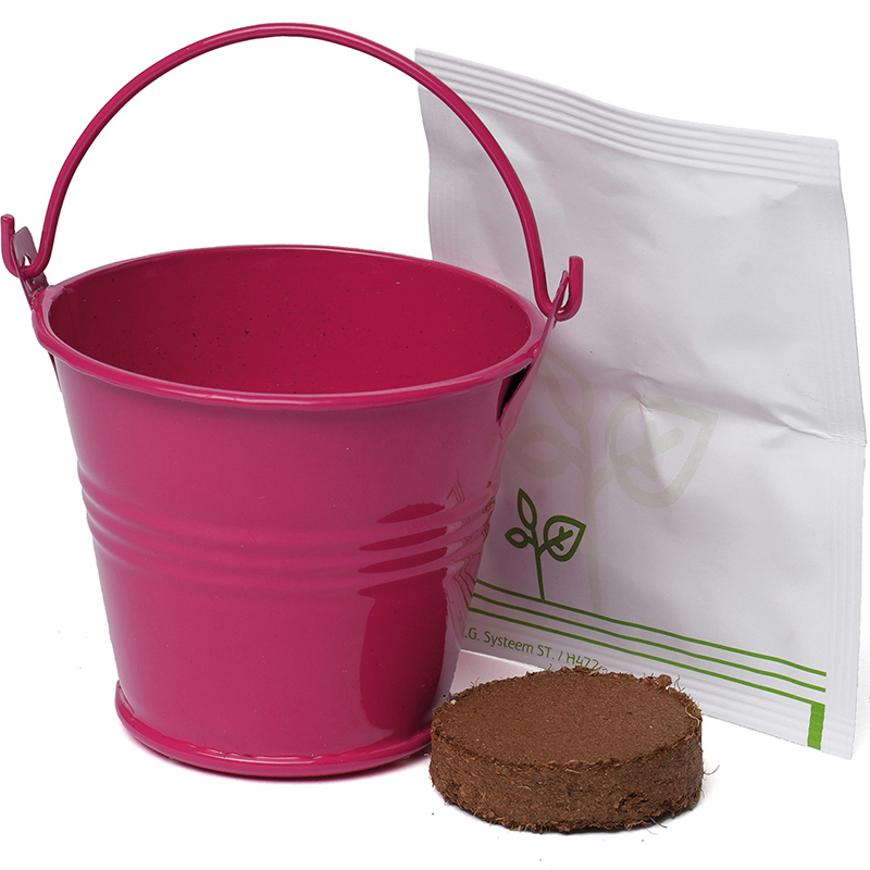 Coloured Mini Bucket Grow Kit - Image 6
