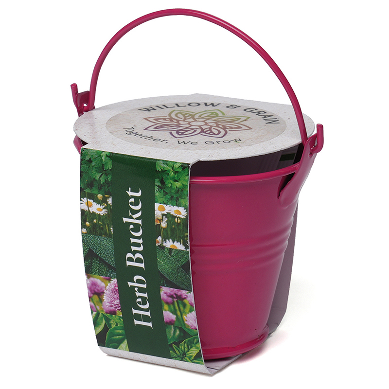 Coloured Mini Bucket Grow Kit - Image 8