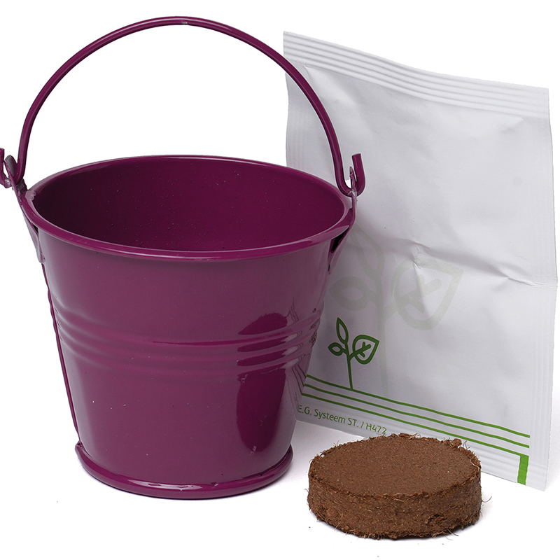 Coloured Mini Bucket Grow Kit - Image 12