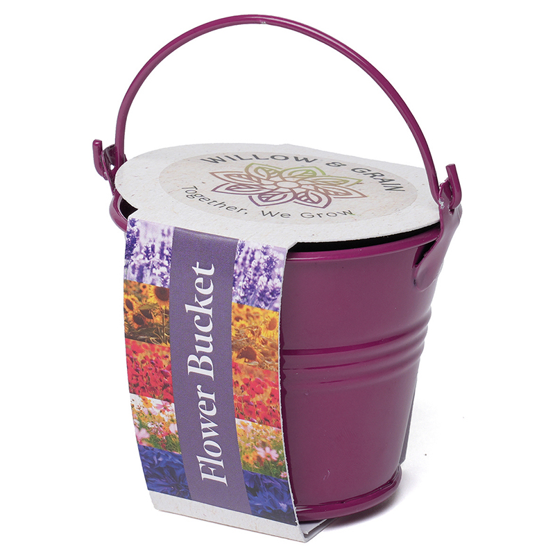 Coloured Mini Bucket Grow Kit