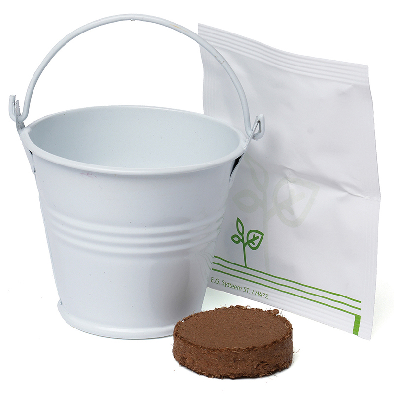 Coloured Mini Bucket Grow Kit - Image 11
