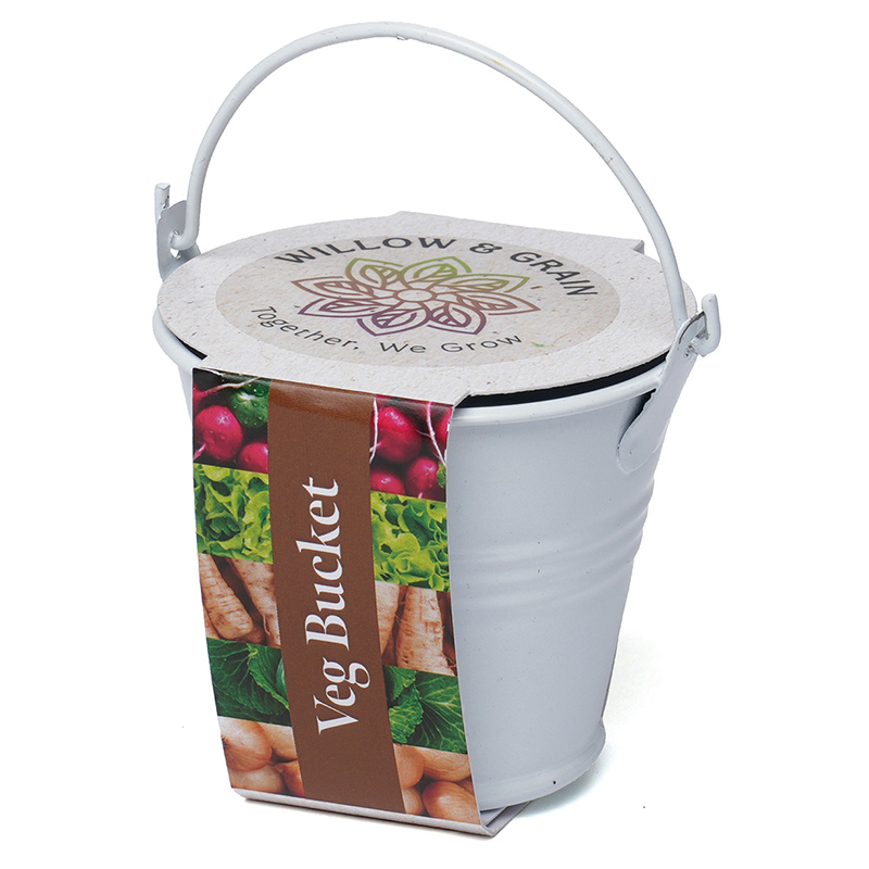 Coloured Mini Bucket Grow Kit - Image 2
