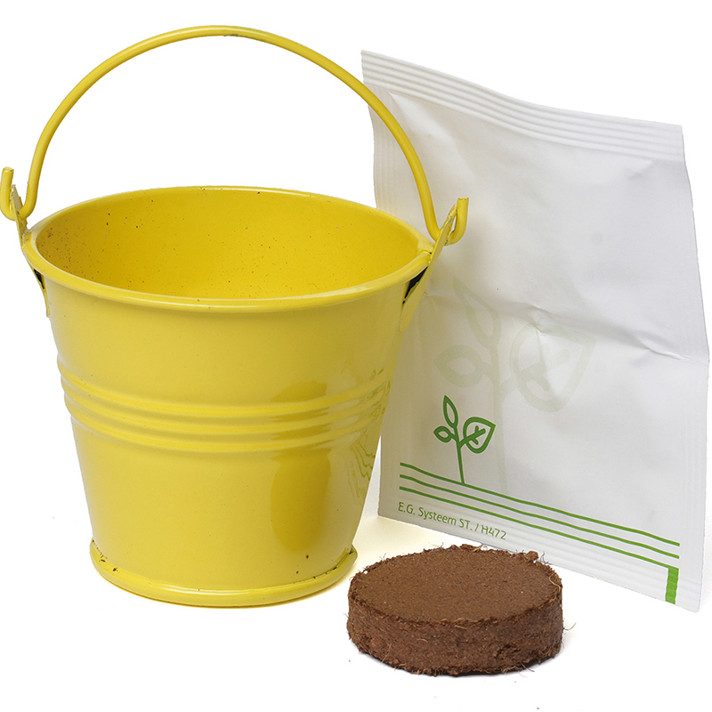 Coloured Mini Bucket Grow Kit - Image 7
