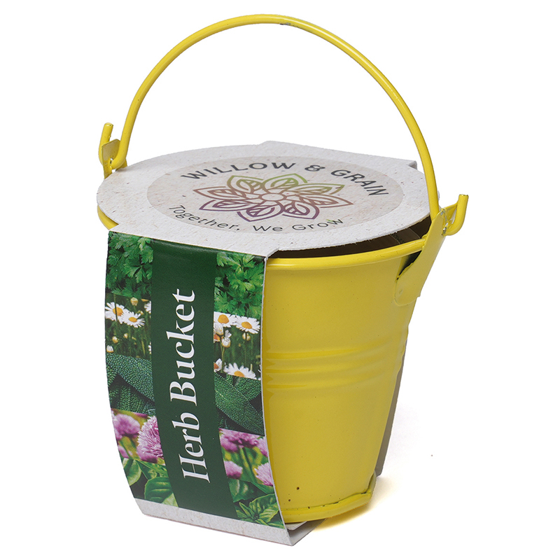Coloured Mini Bucket Grow Kit - Image 13